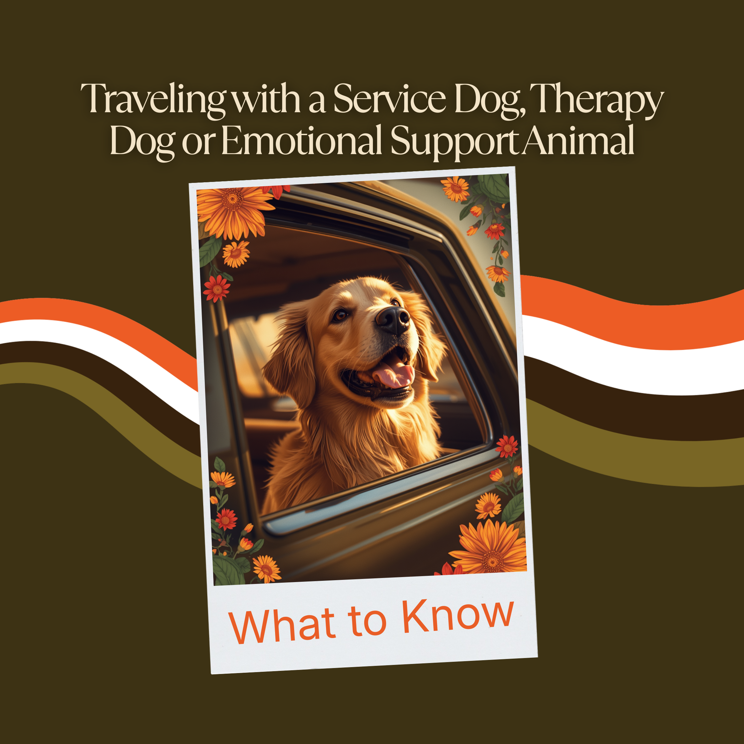 Traveling with a Service Dog, Therapy Dog, or Emotional Support Animal: What You Need to Know