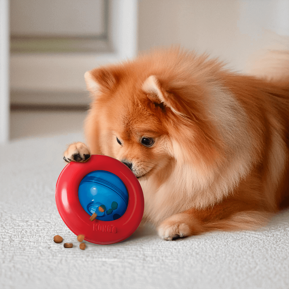 The 72-Hour Bowl-Free Challenge: Why You Should Ditch the Food Bowl