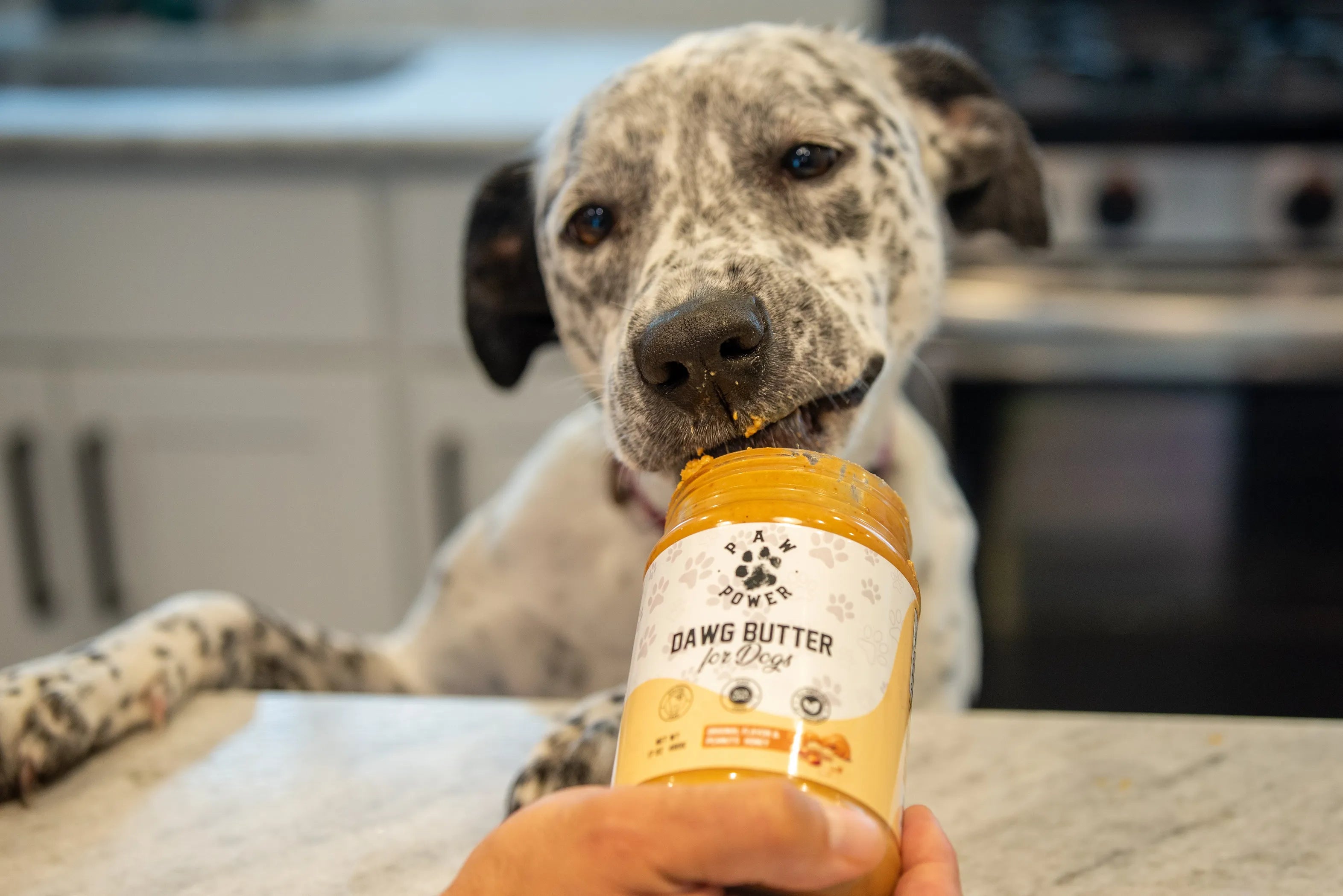 Dawg Butter — Xylitol-Free Peanut Butter for Dogs