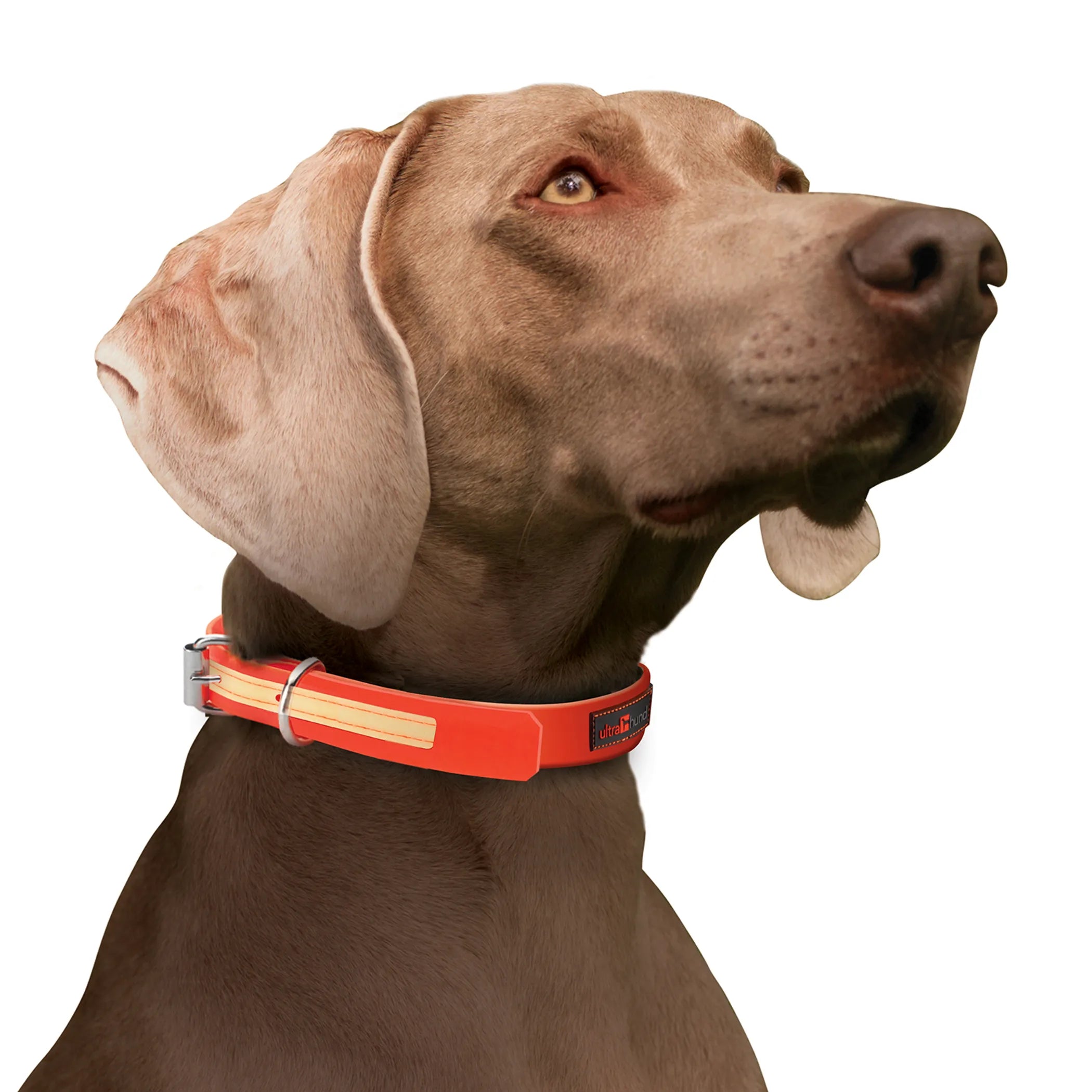 Ultrahund Play Martingale Dog Collar — Safe, Humane Training Collar