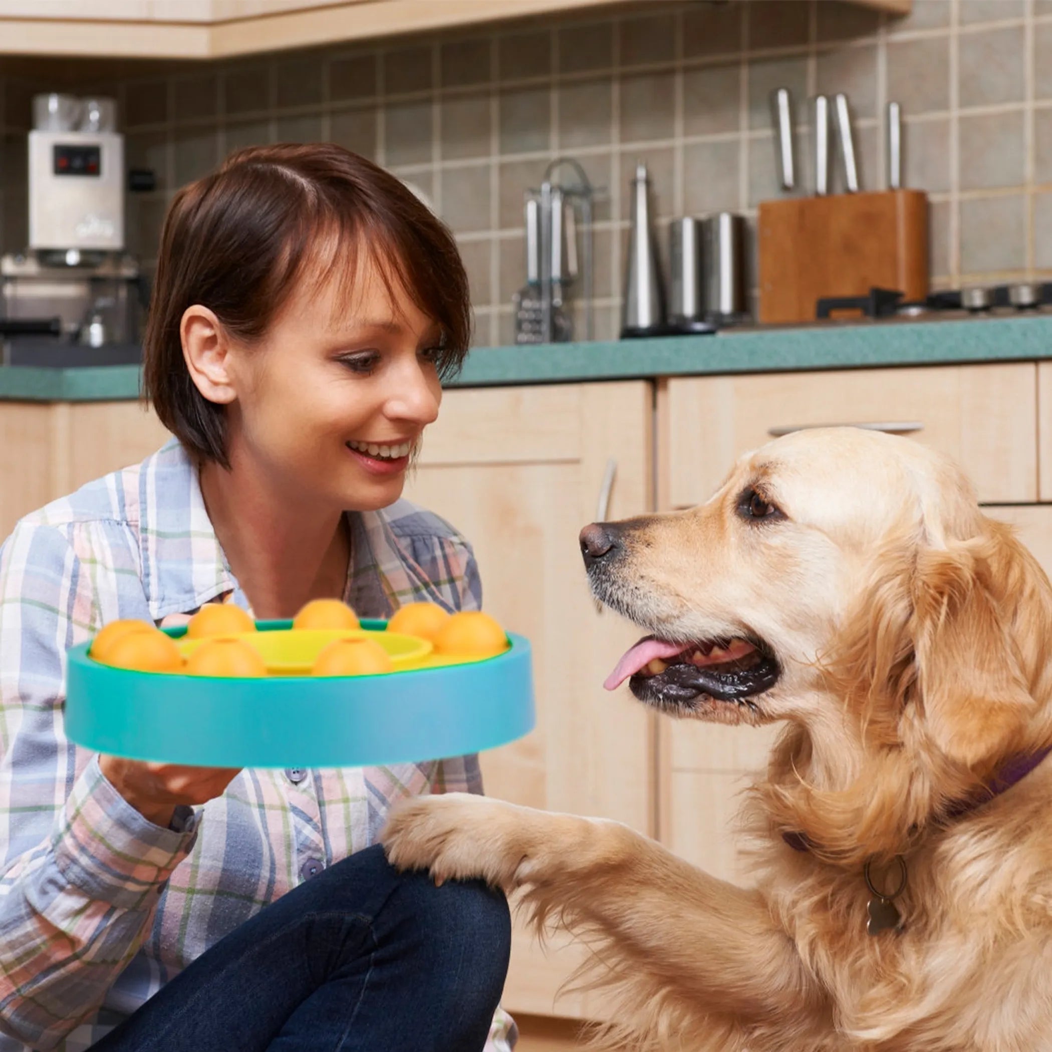 Dog Puzzle Food Feeder Slow Feeding Bowl — Interactive IQ Enrichment for All Dogs