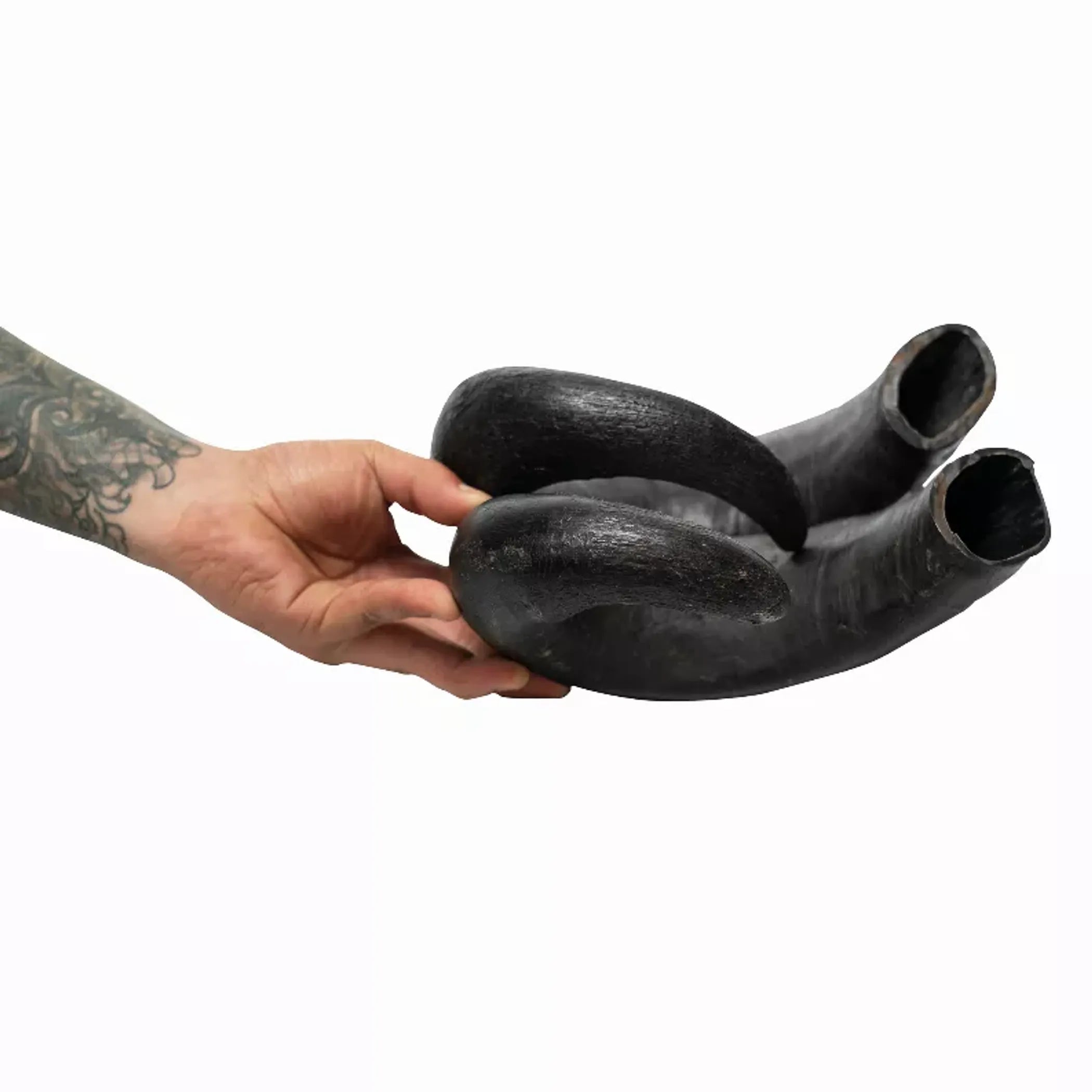 Water Buffalo Horn Chews — Long-Lasting Natural Dental Chew for Aggressive Chewers