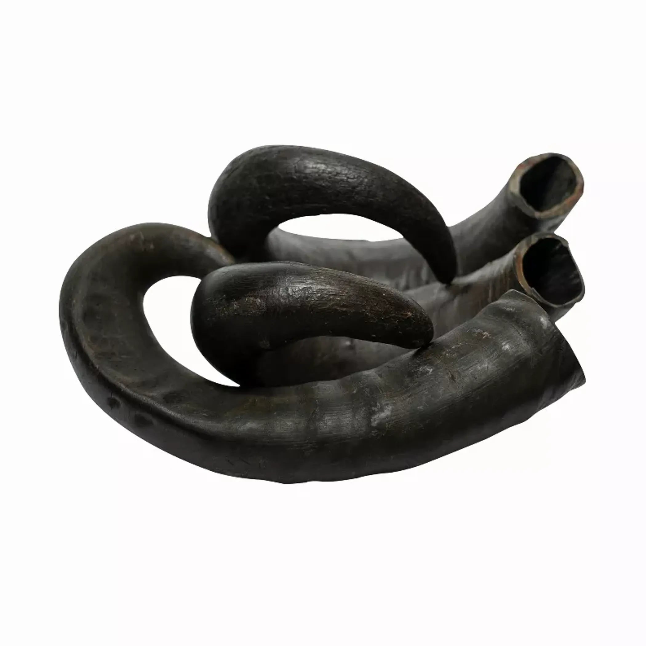 Water Buffalo Horn Chews — Long-Lasting Natural Dental Chew for Aggressive Chewers
