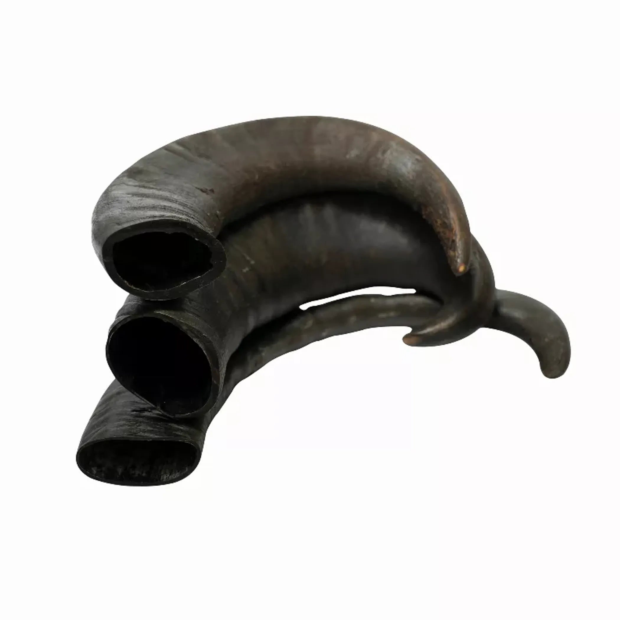 Water Buffalo Horn Chews — Long-Lasting Natural Dental Chew for Aggressive Chewers