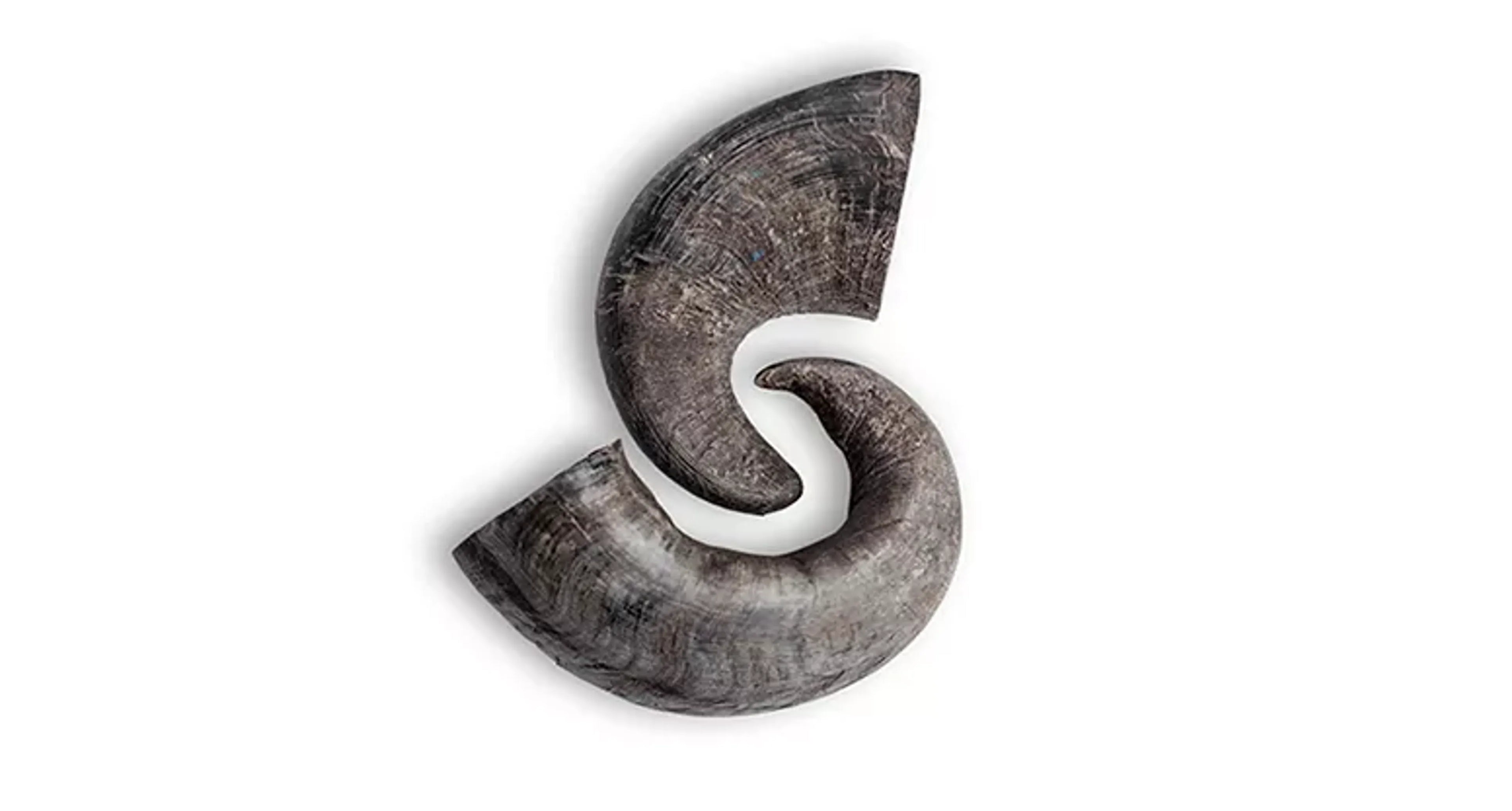 Water Buffalo Horn Chews — Long-Lasting Natural Dental Chew for Aggressive Chewers