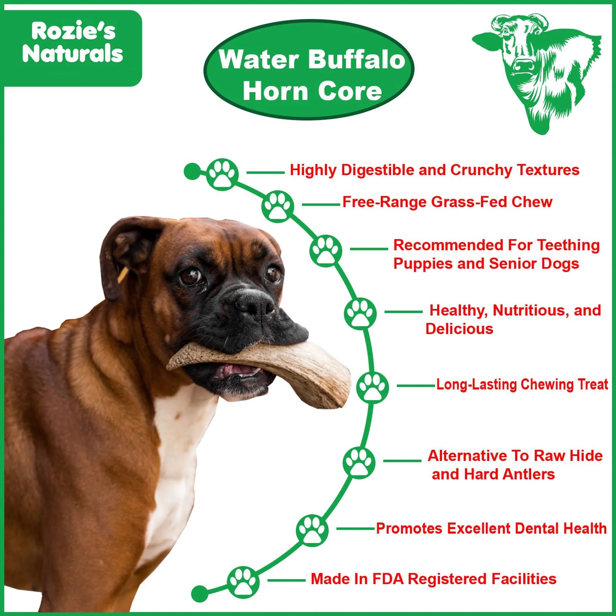 Senior Dog Love Bundle