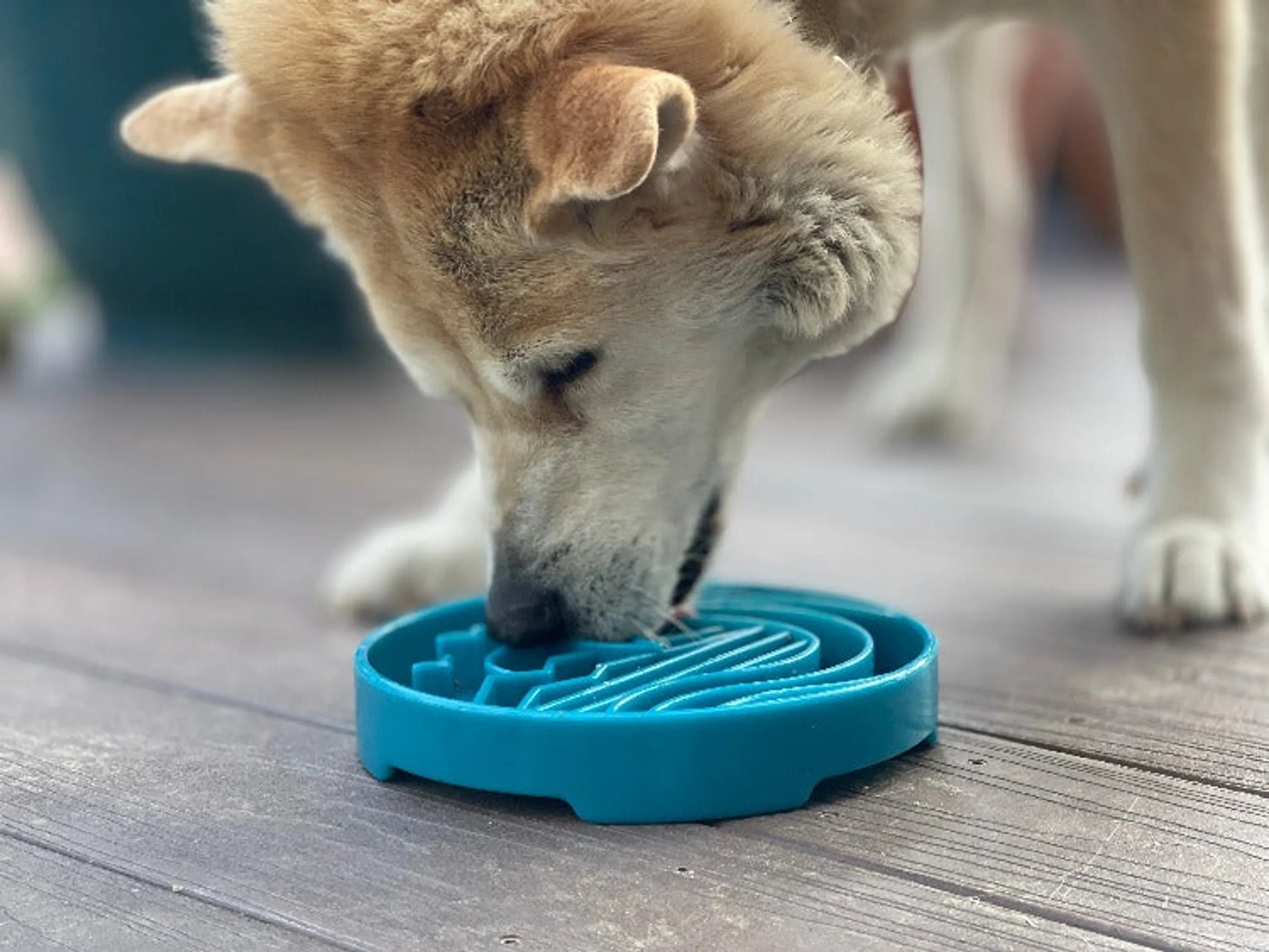 SodaPup Baja Design eTray — Shallow Slow Feeder & Lick Mat Enrichment Tray for Dogs