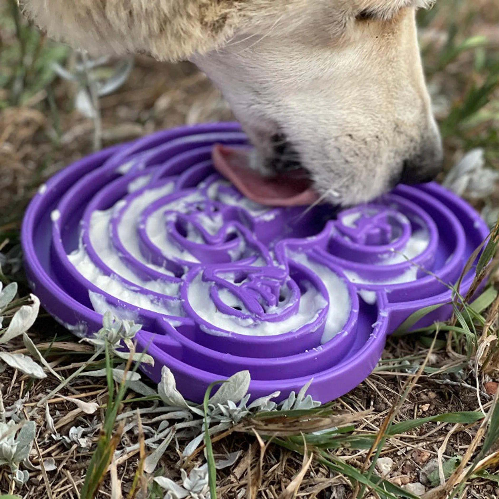 SodaPup Water Frog eTray — Slow Feeder & Lick Mat Enrichment Tray for Dogs