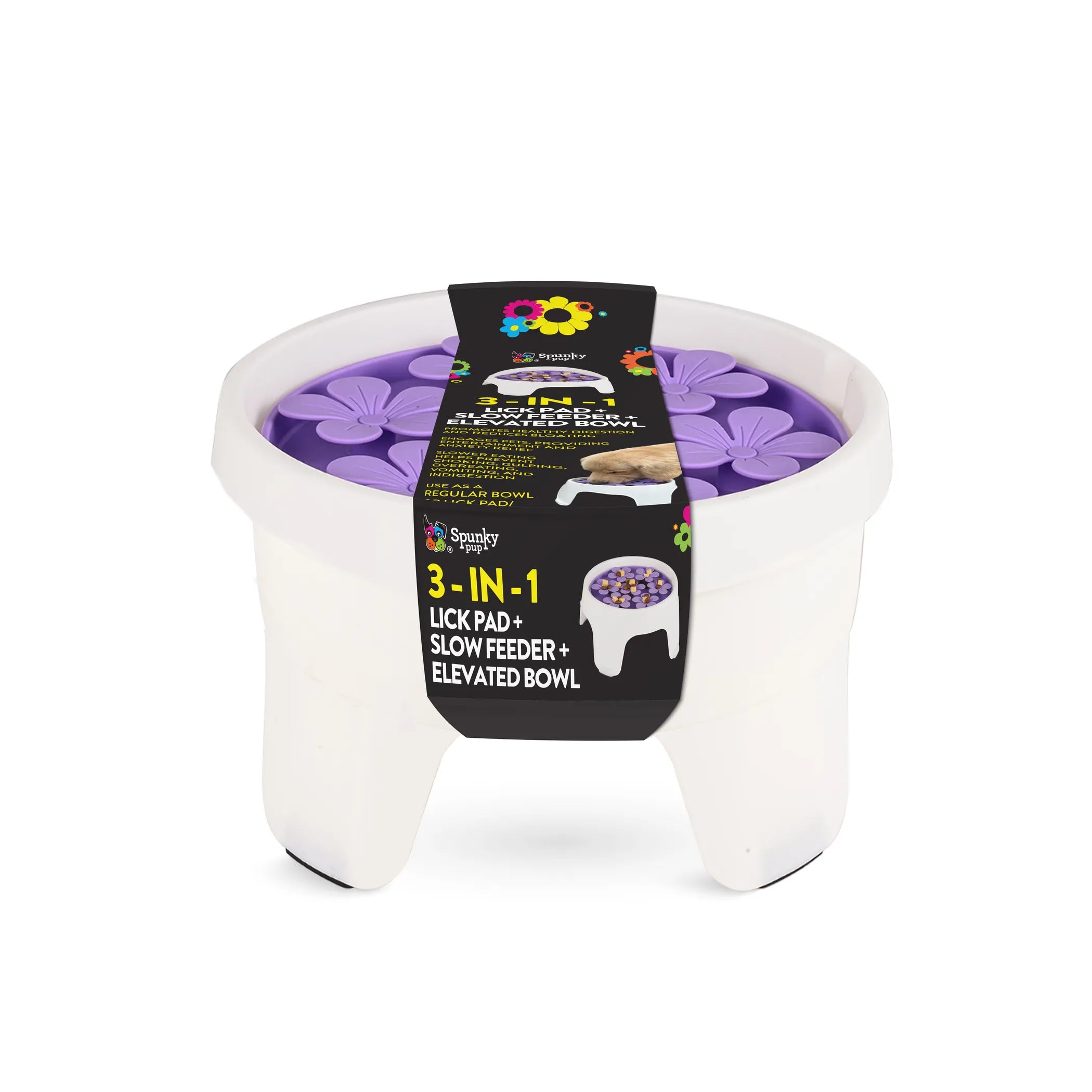 Senior Dog Love Bundle
