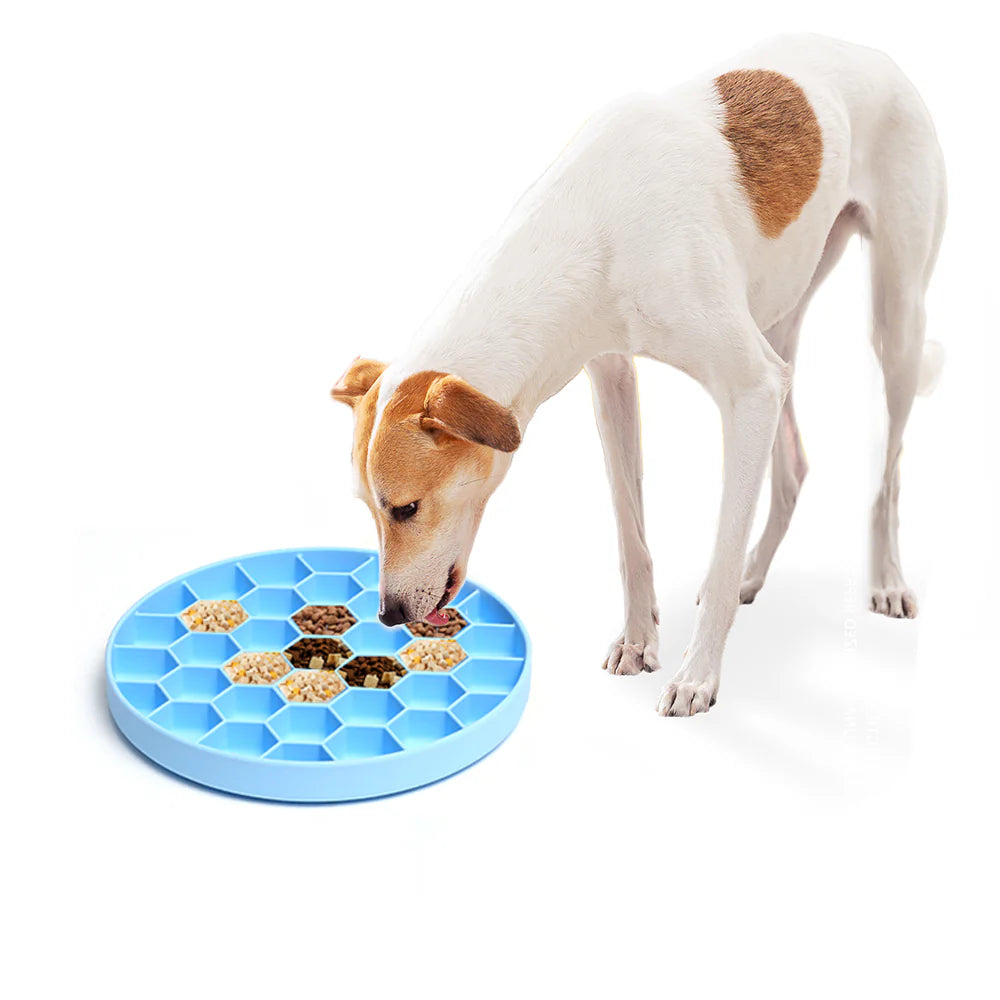 New Dog Starter Kit