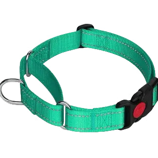 A green nylon dog collar with silver metal hardware, a red circular button, and a black plastic buckle, shown on a plain white background.