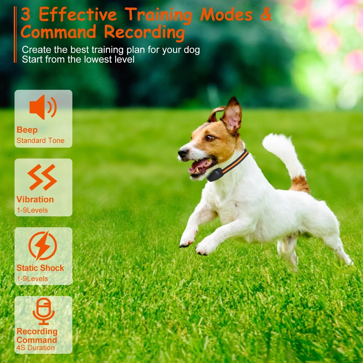 984FT Remote Dog Training Collar — Waterproof, Rechargeable, 3-Mode System