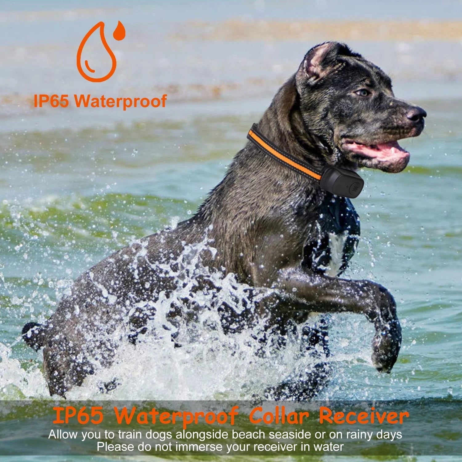 984FT Remote Dog Training Collar — Waterproof, Rechargeable, 3-Mode System